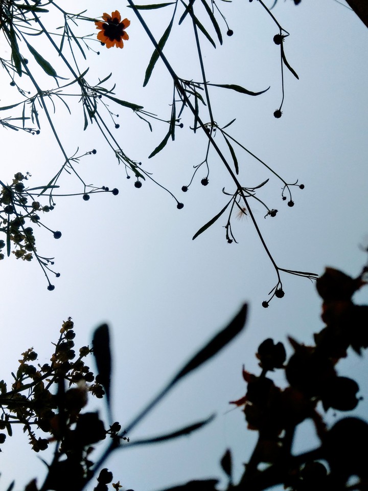 sky is forewer..