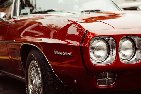 firebird