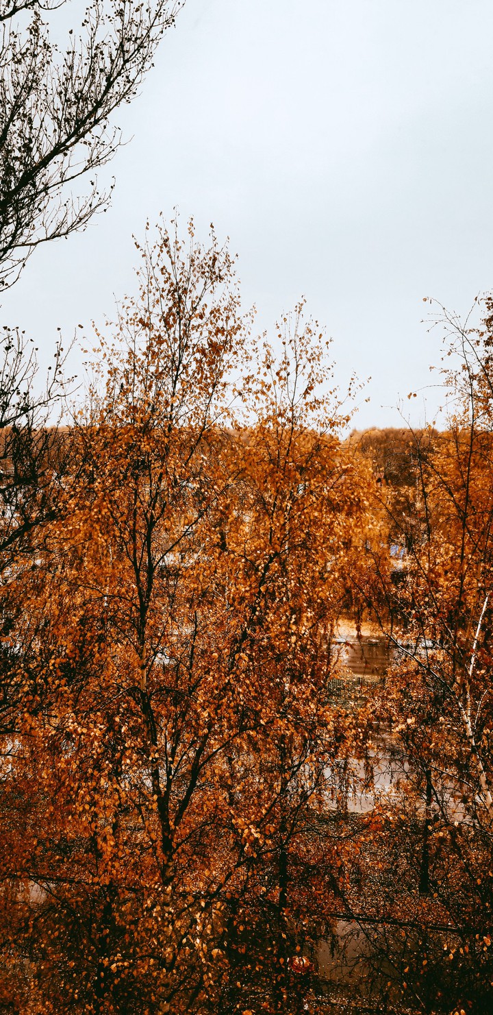 autumn has come