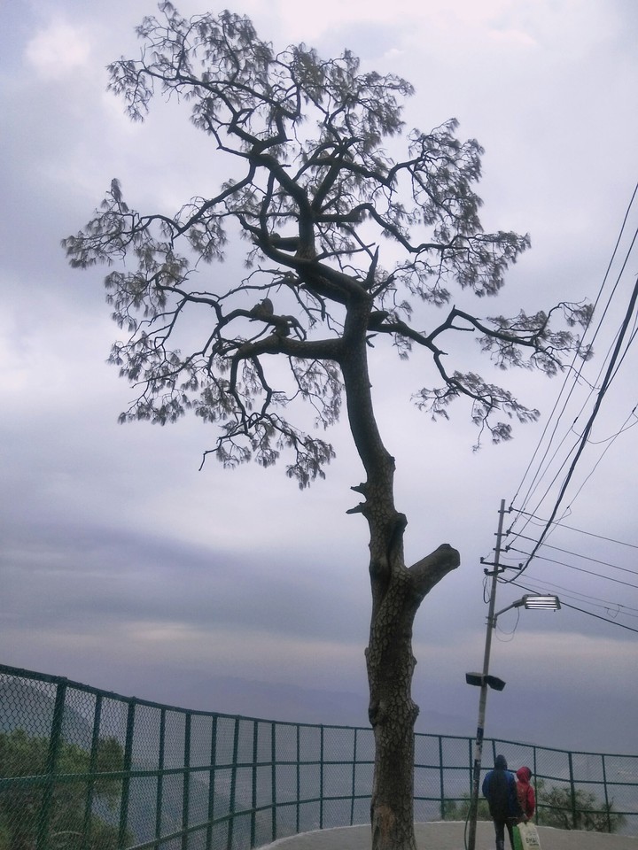 Nature_Beauty