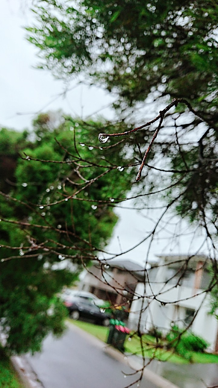 Australia, Autumn ? ?️