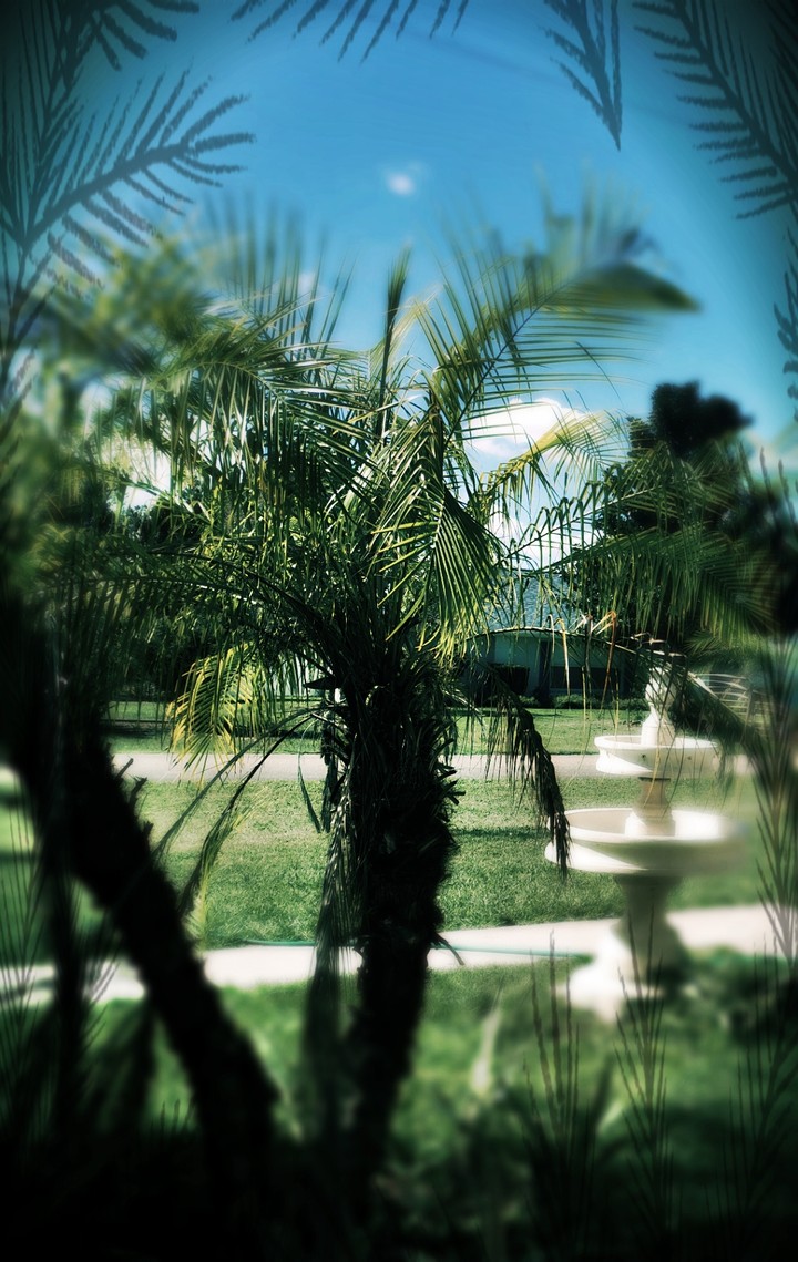 out my window