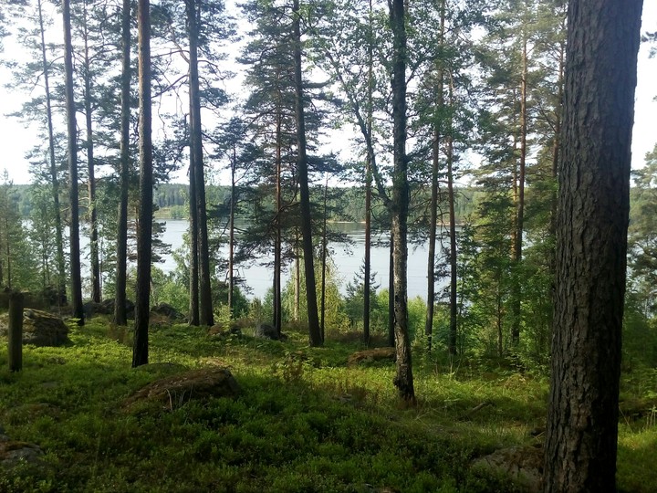 Каменогорск, Ленинградская область.