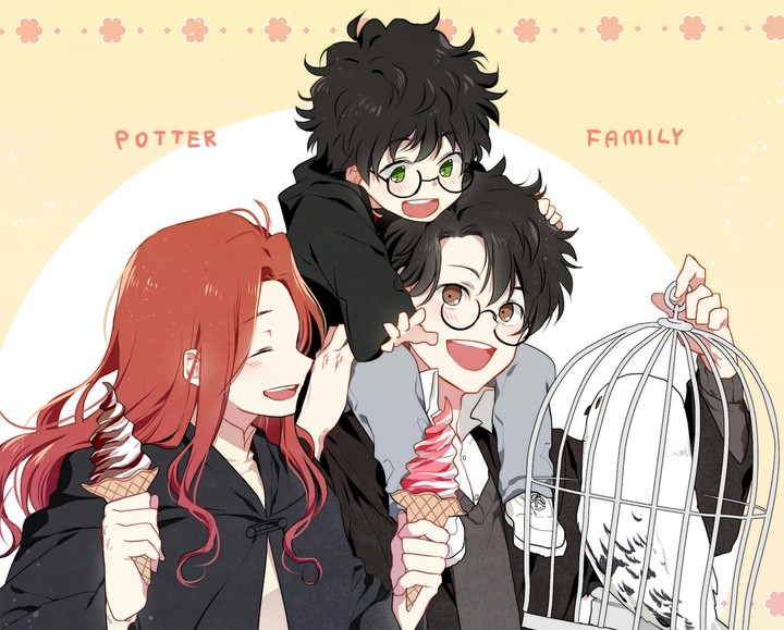 Potter family