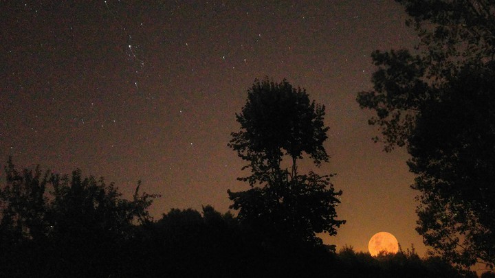 Stars