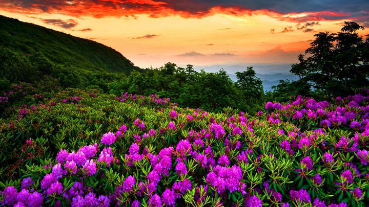 Nature.