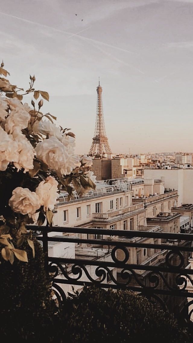 Paris the city of love~