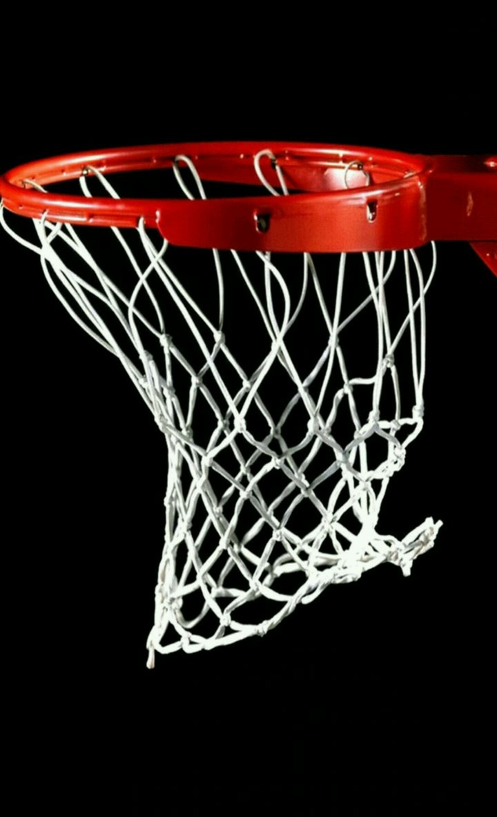 basket ball net
