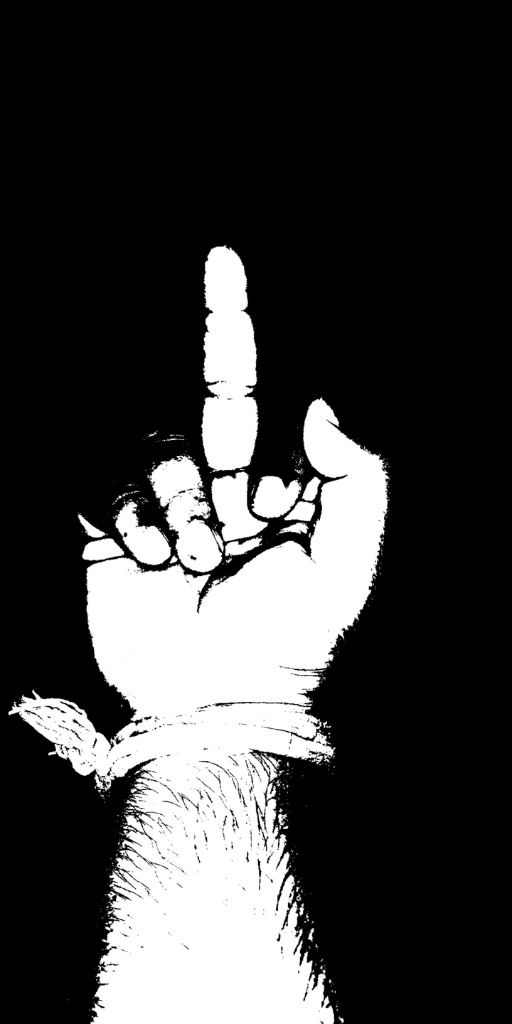 Middle Finger