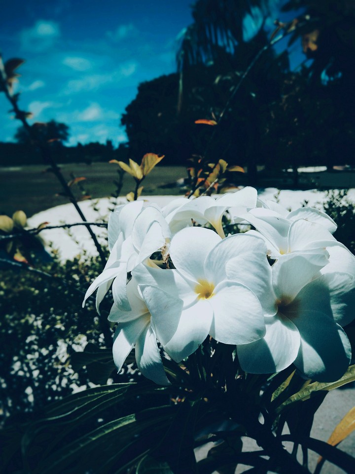 someday you will look back and know why exactly it happened
