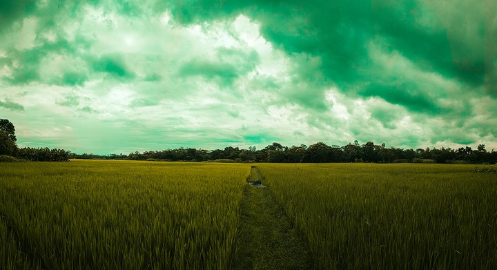 An amazing view