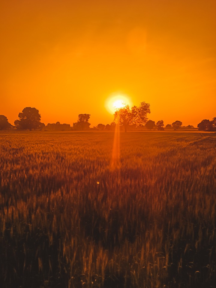 sunset