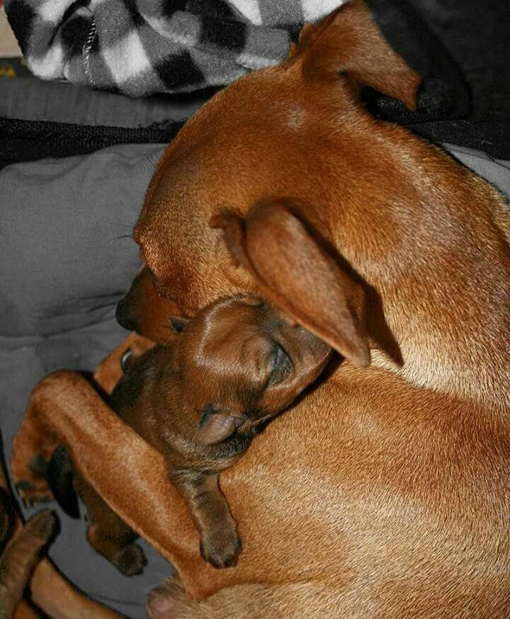 hug