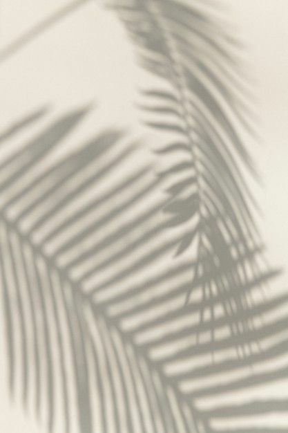 Silhouette