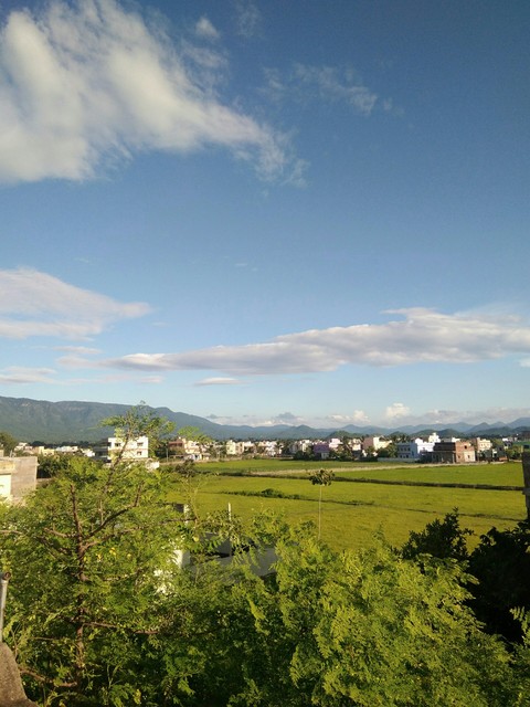 nature view, town
