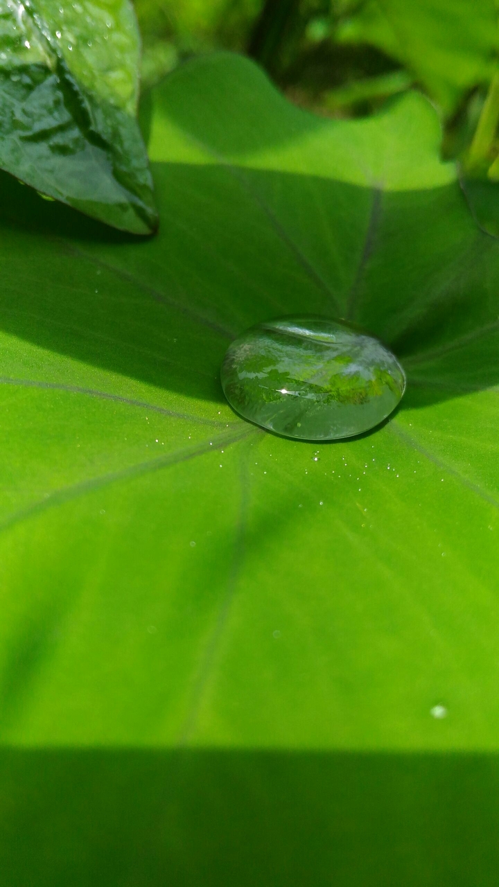 water drop