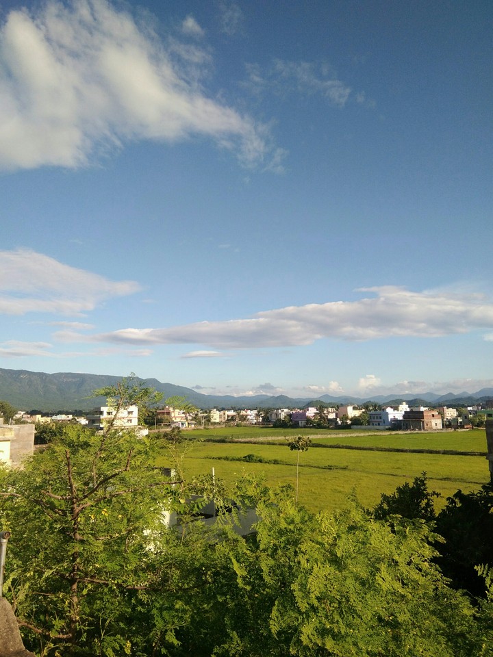 nature view, town