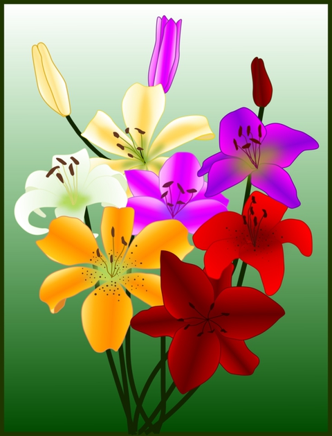 flower
