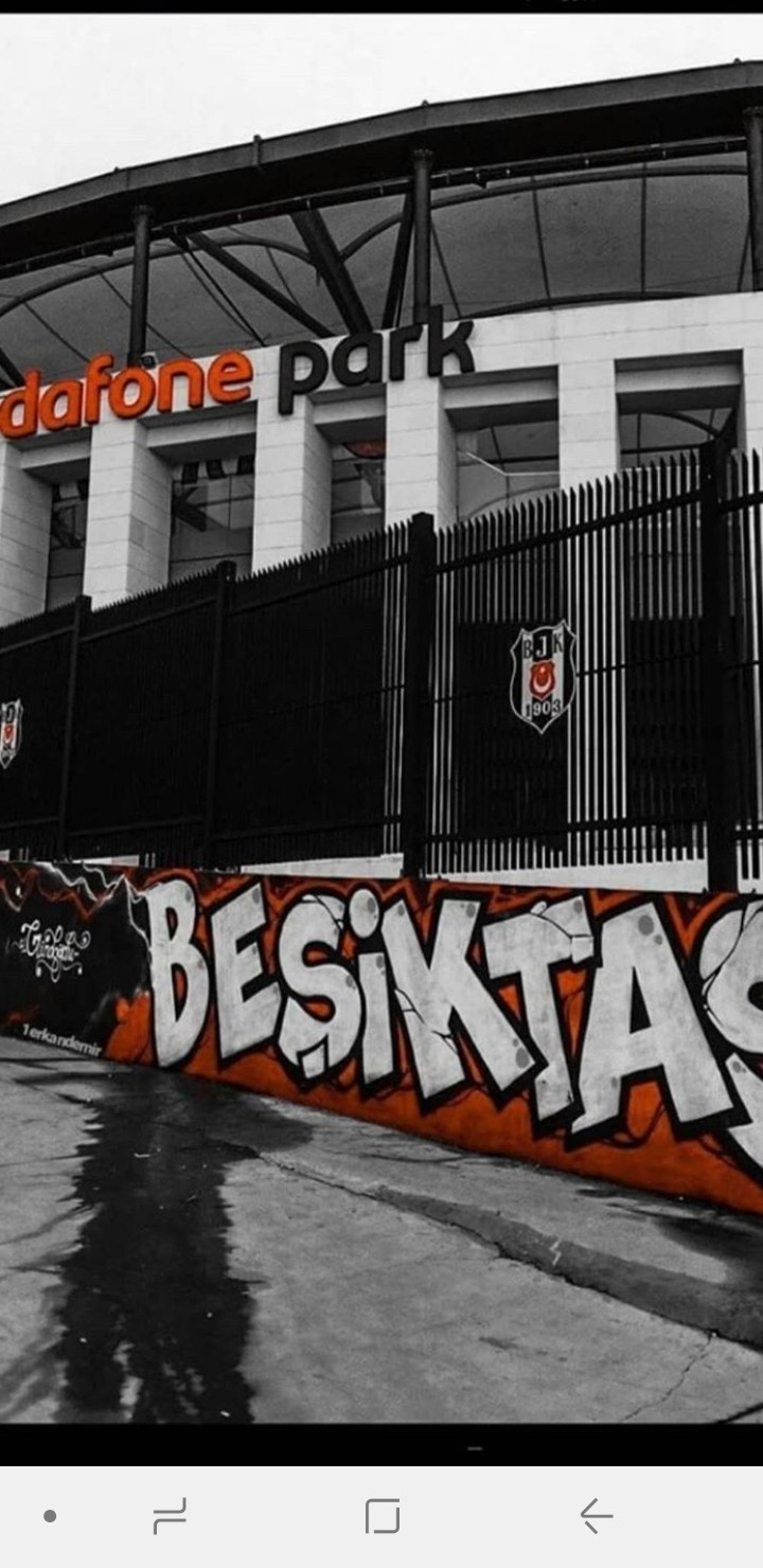 Vodafone Park