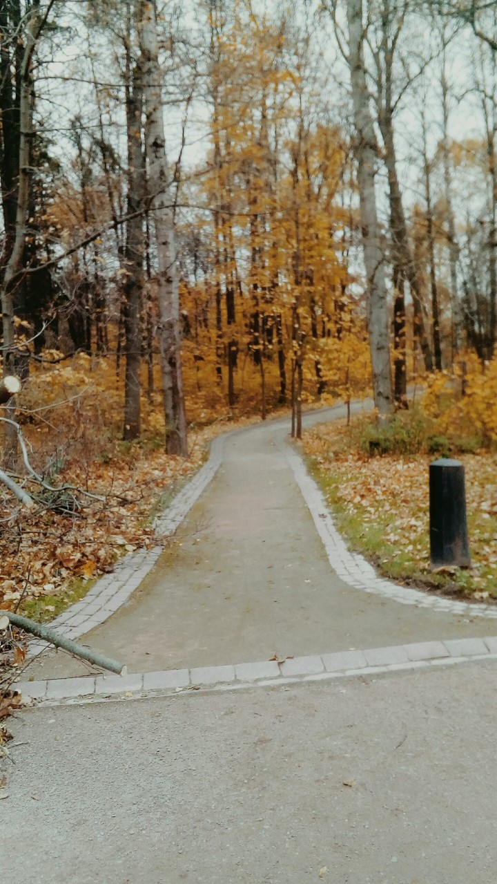 Осенняя дорожка уходящая в мечту