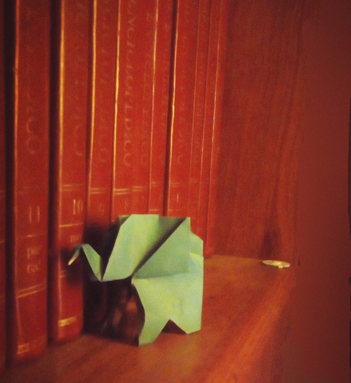 elephant