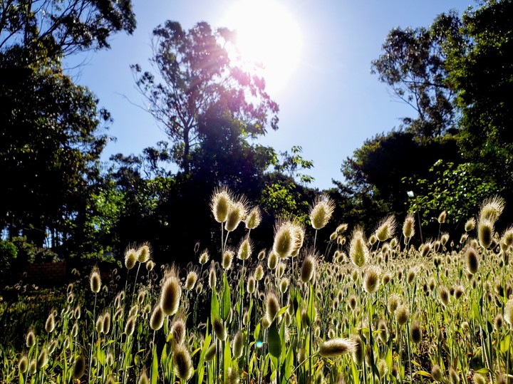 Nature