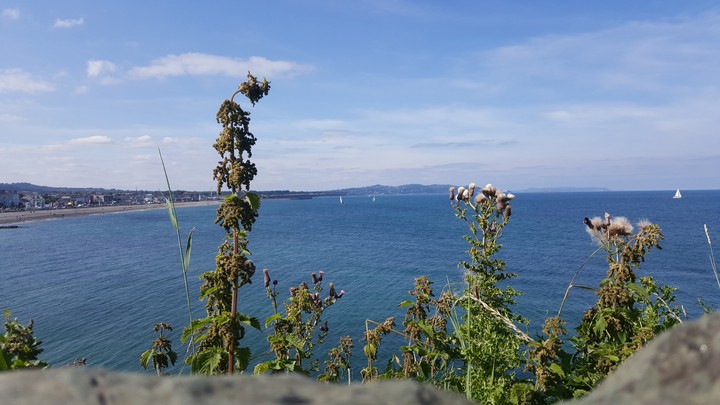 Memories From Erasmus [2]: Bray (β)