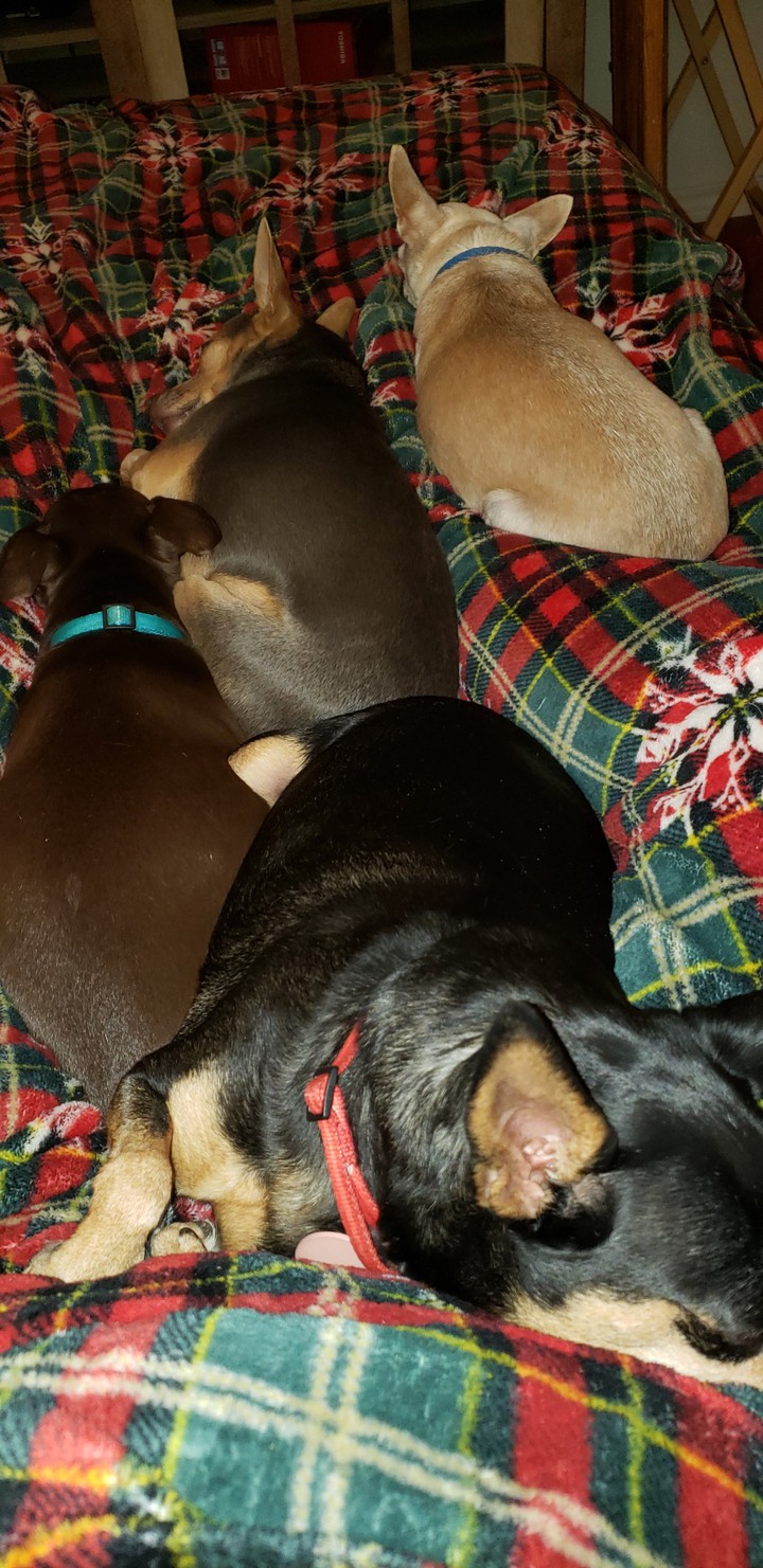 Full lap