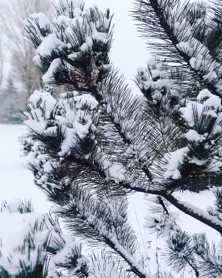 winter