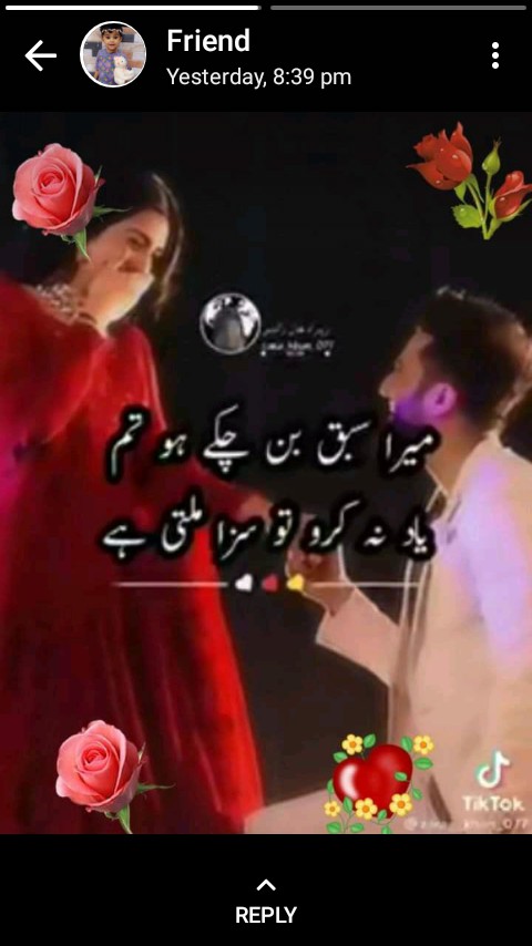 shahayri pic