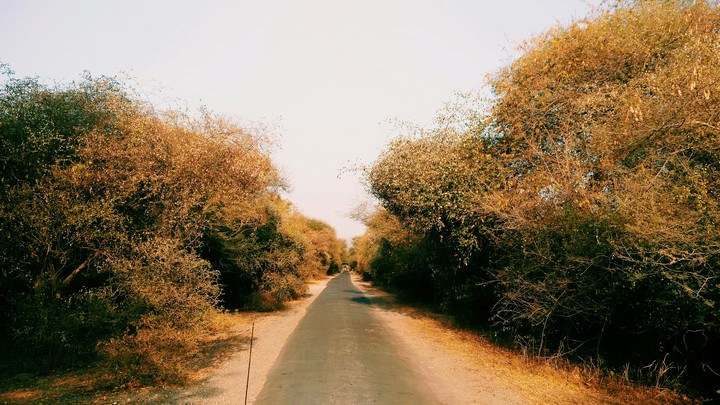 Routes