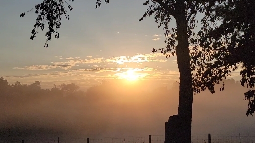 nice morning