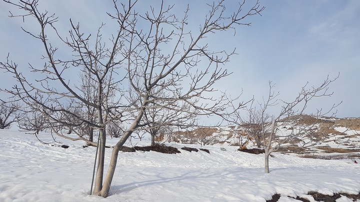 winter