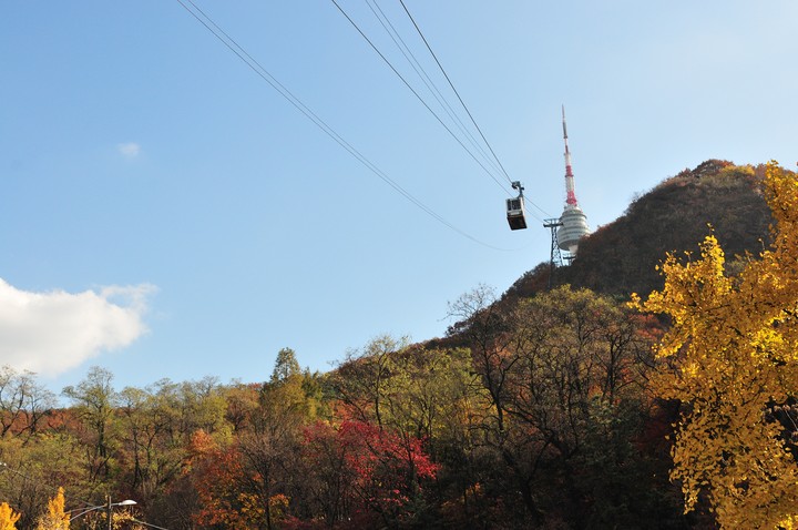 Scenics