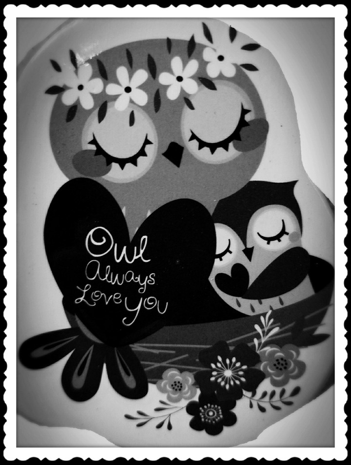 Hoot hoot!!