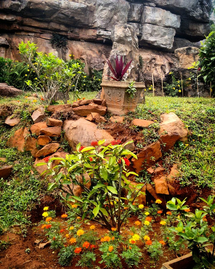 Garden.