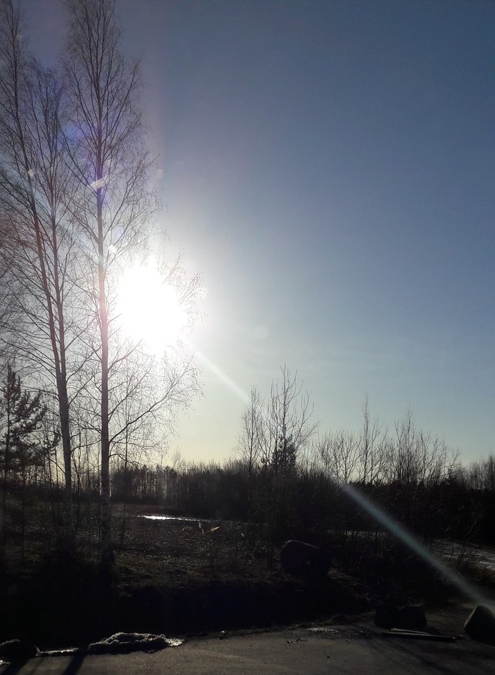 Spring sun