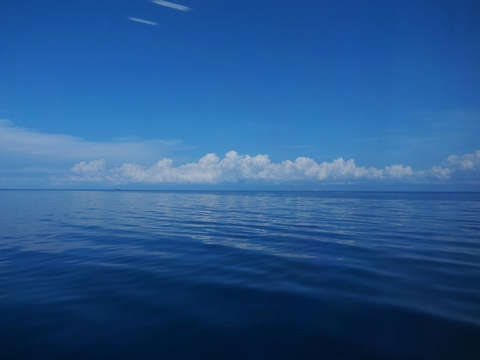 ocean