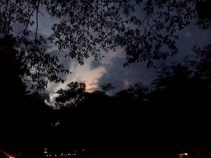 Nature..