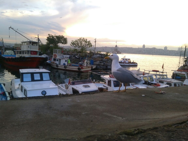 istanbul