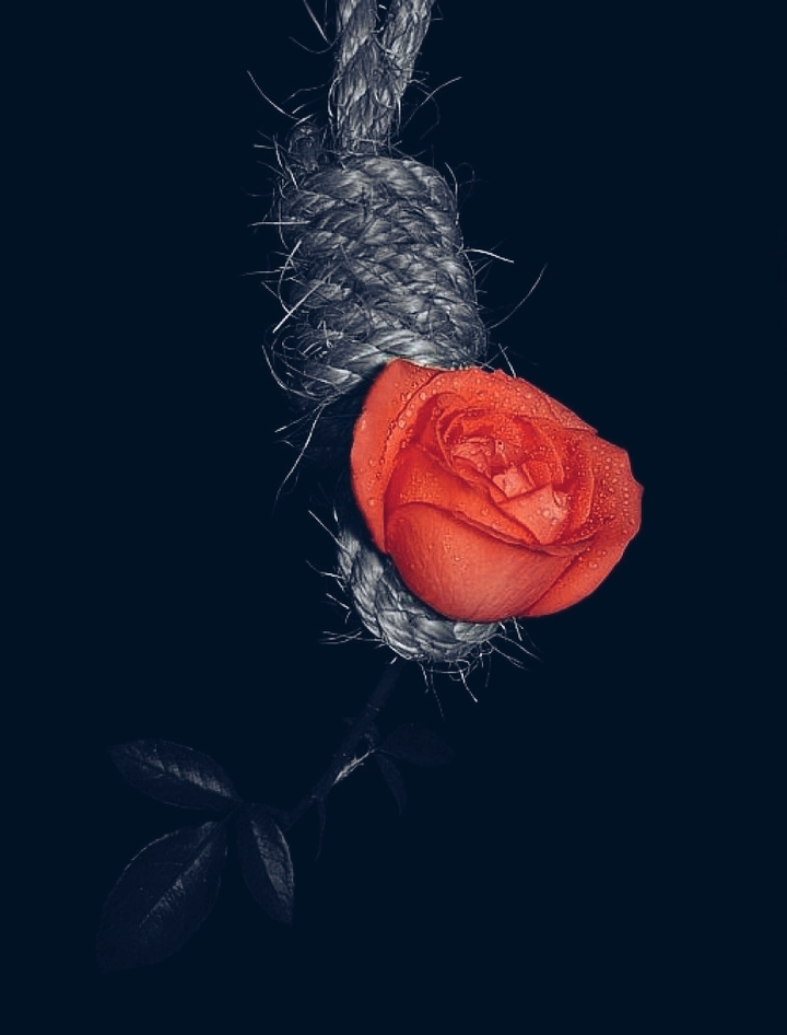 ❤❤❤