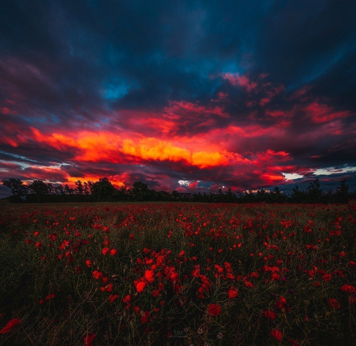 Fire sundawn