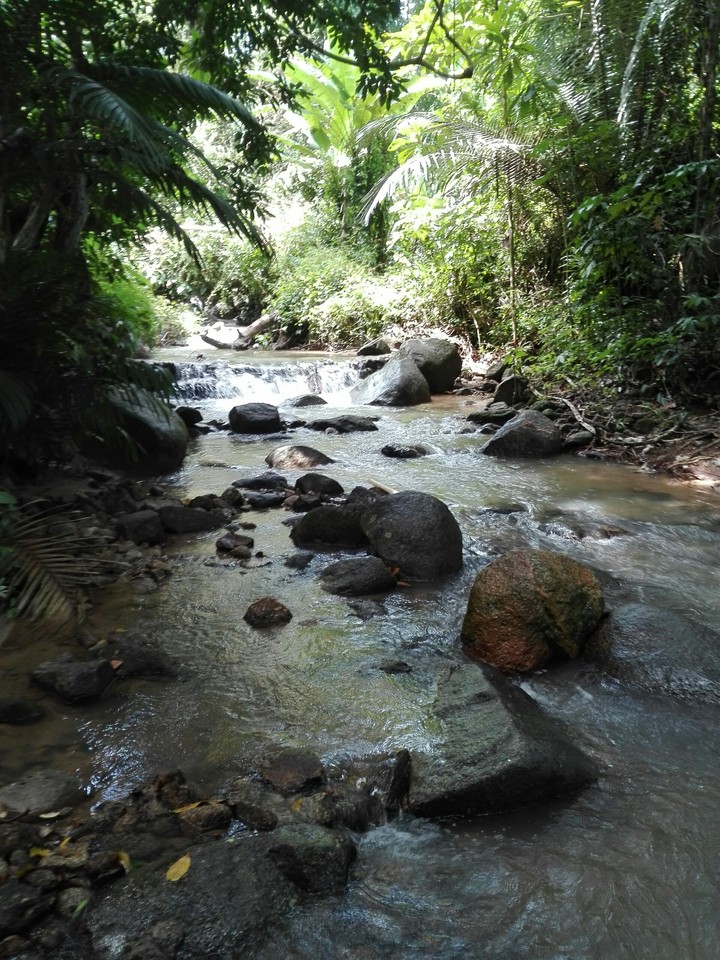 Kathu Waterfalls, Phuket Thailand