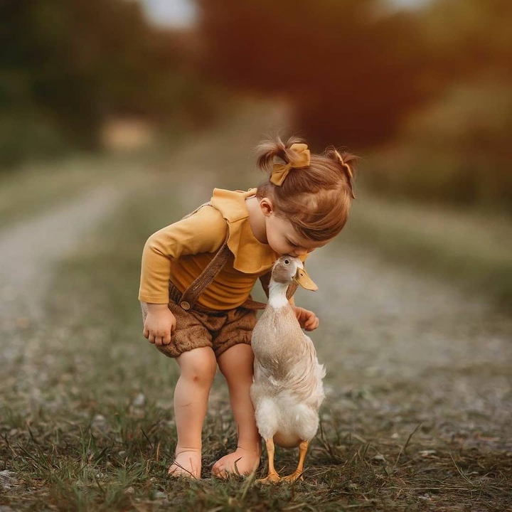 amor entre personas y animales