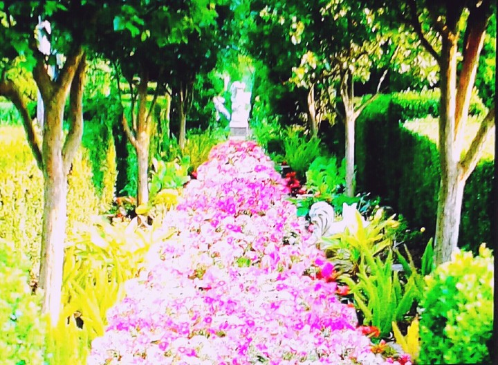 Camino floral