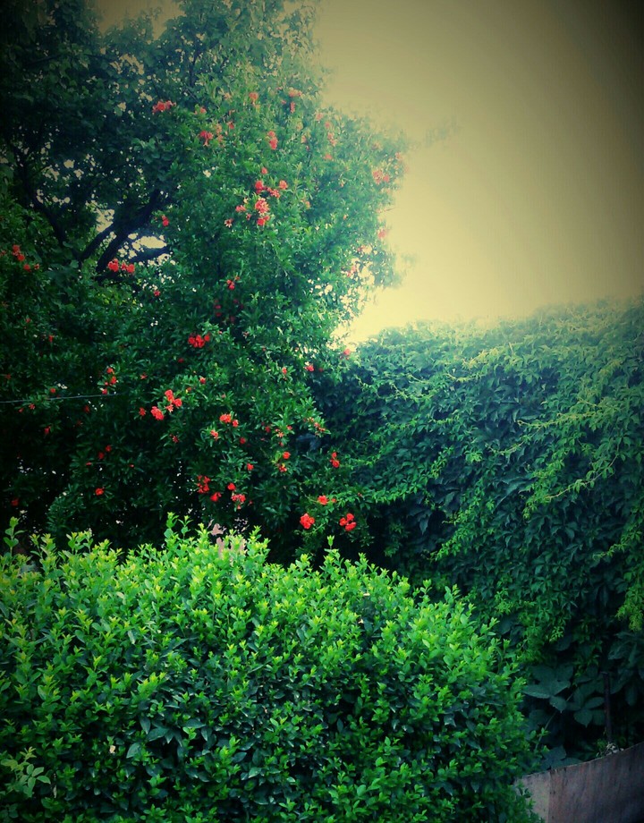 green
