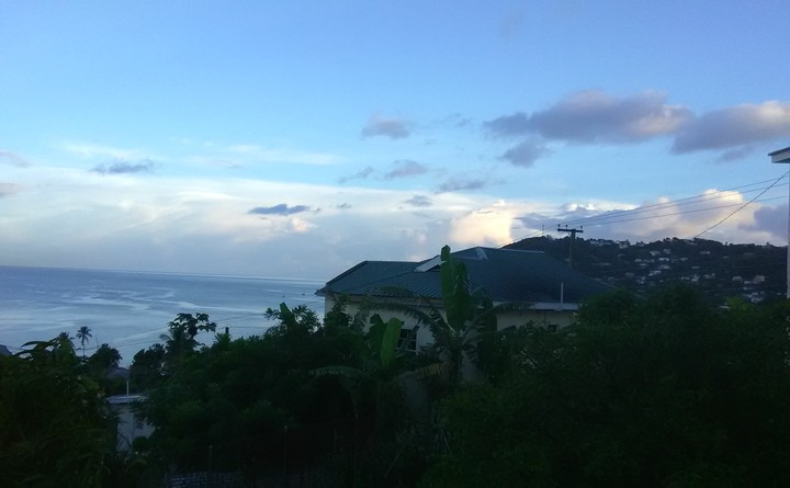 backyard views