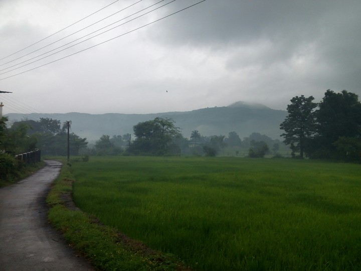Monsoon