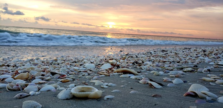Bonita Springs