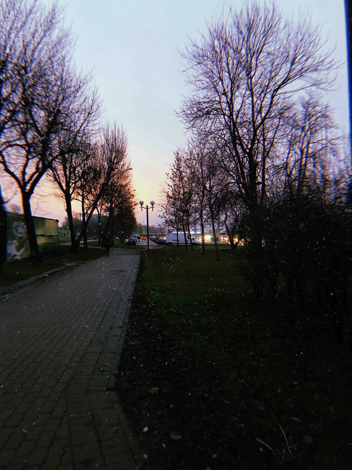 nice evening